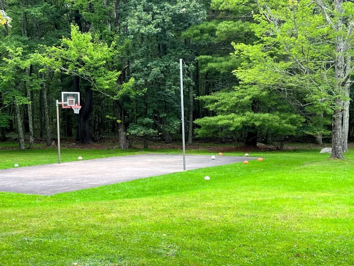 Outdoor basketball court among trees