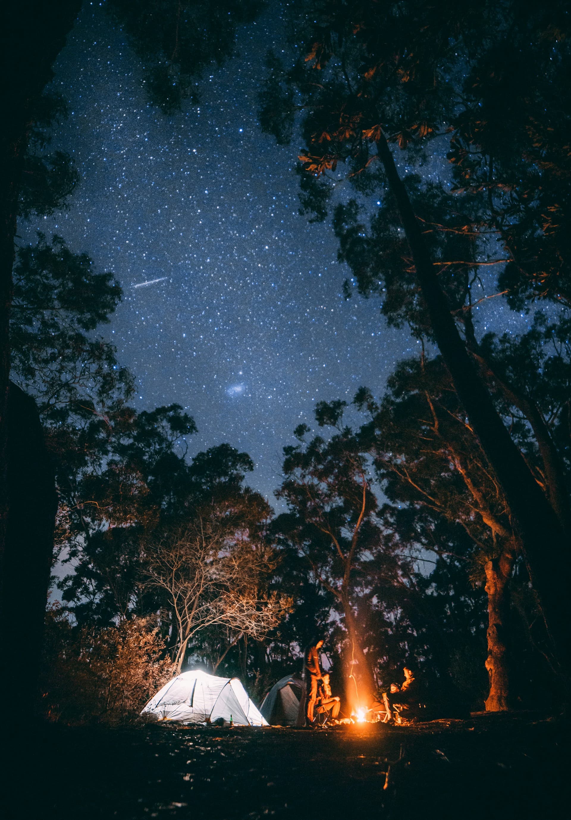 Starry night sky over the Pocono Mountains