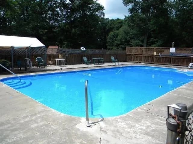 Swimming pool surrounded by trees